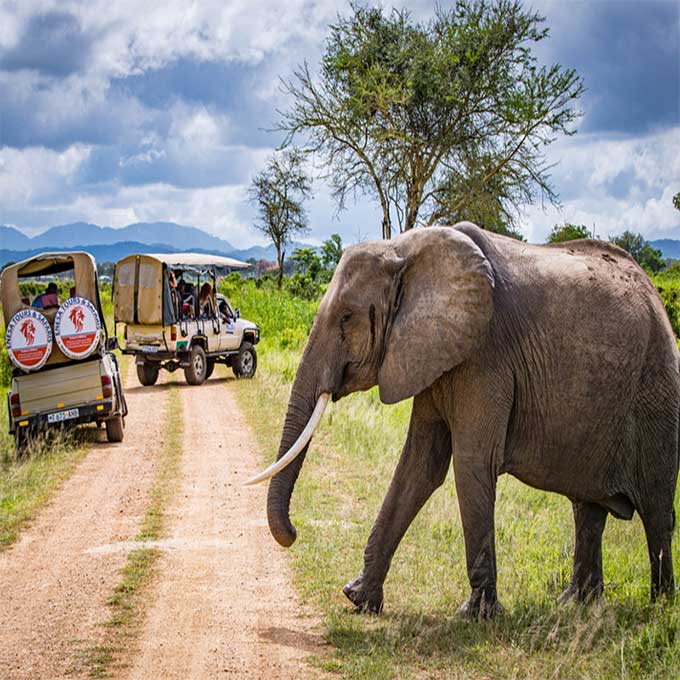 تور آفریقای جنوبی نوروز 1405 - 2 فروردین