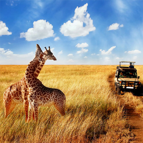 تور آفریقای جنوبی نوروز 1405- 28 اسفند